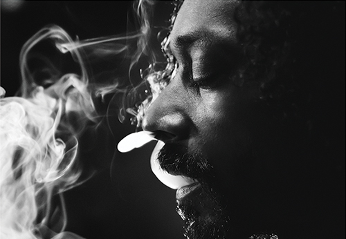 snoop_lion_reincarnated-skeuds